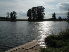 Poland is suffering from mosquitoes