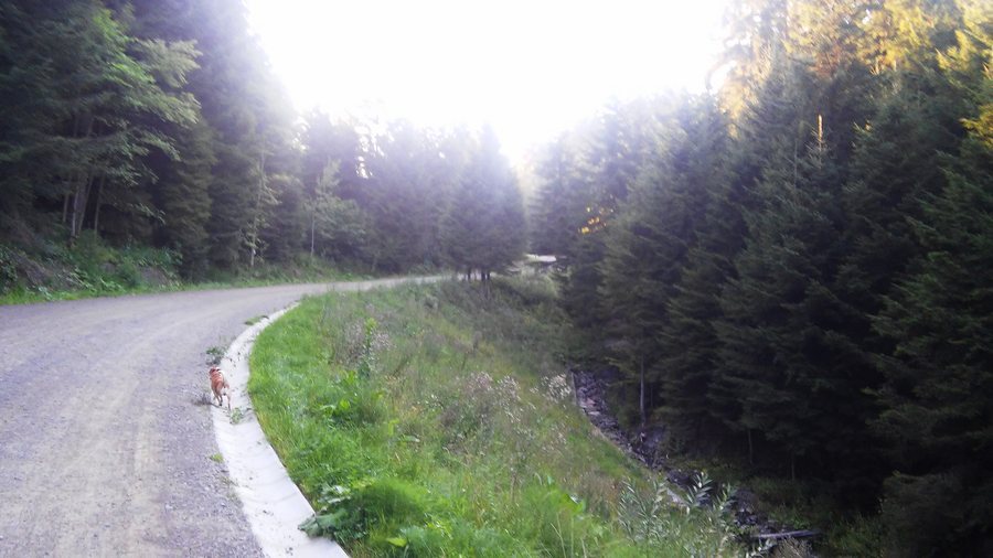 File:Gmina Chełmiec, Poland - panoramio.jpg