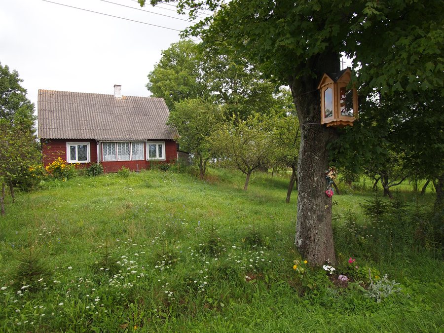 File:Mikołajewo, gmina Krasnopol - panoramio.jpg