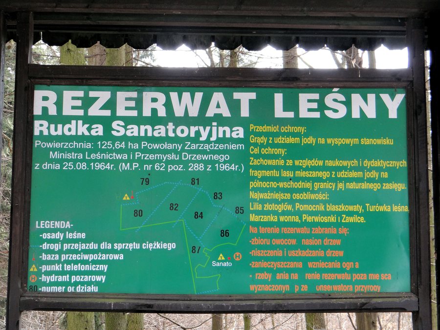 File:131413 Park in Sanatorium in Rudka - 26.jpg