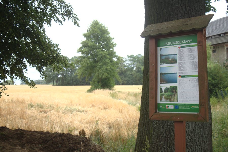 File:Jędrzychowice, rybníky.jpg
