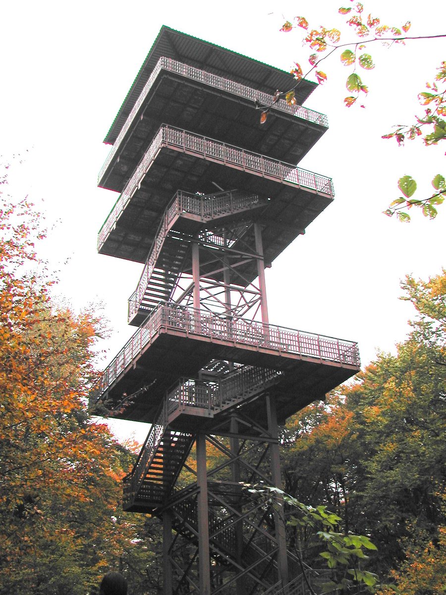 File:Wieżyca (Niż Polski)-wieza widokowa.jpg