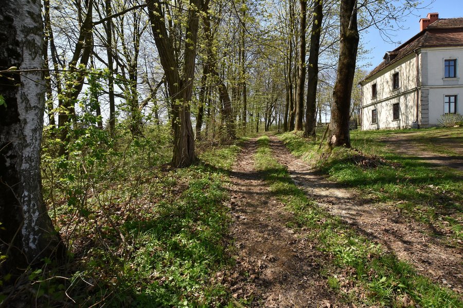 File:Iwierzyce, park dworski (HB4).jpg