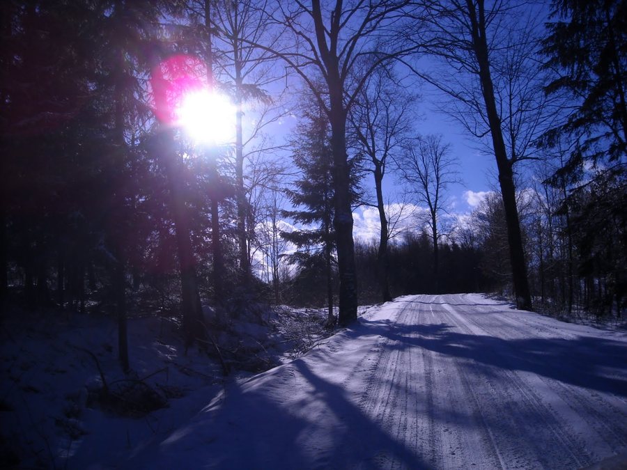 File:Zajdy, zimowy dzień na Mazurach - panoramio.jpg