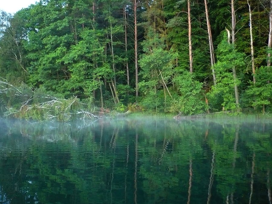 File:Maradki nad jeziorem Piłakno 01.JPG