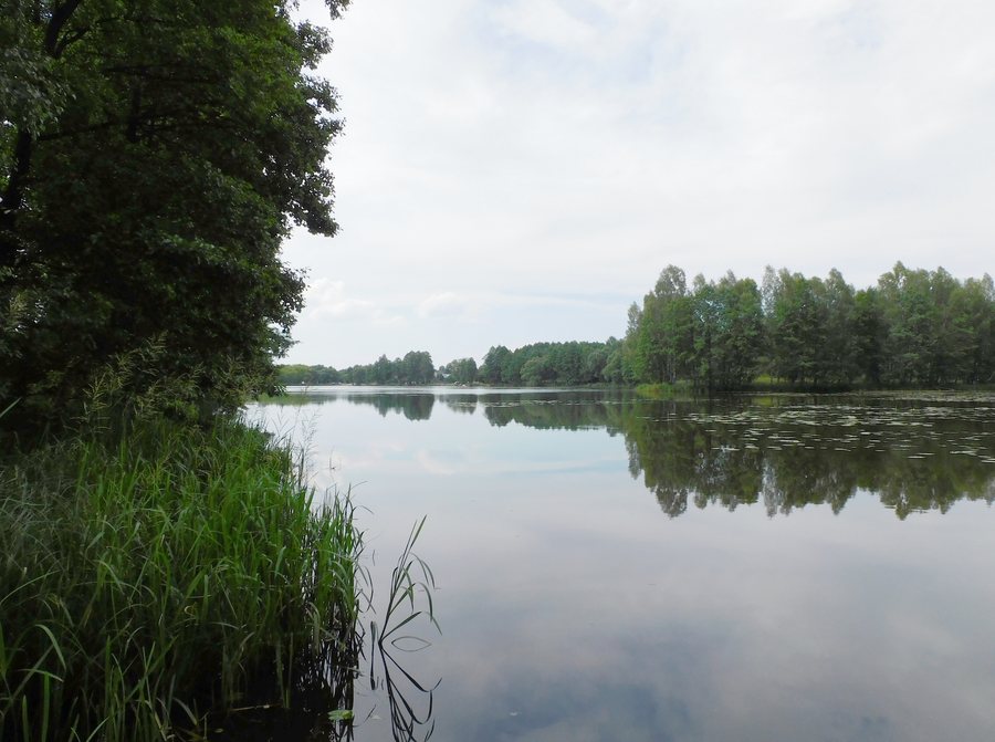 File:Jezioro Malenieckie.jpg