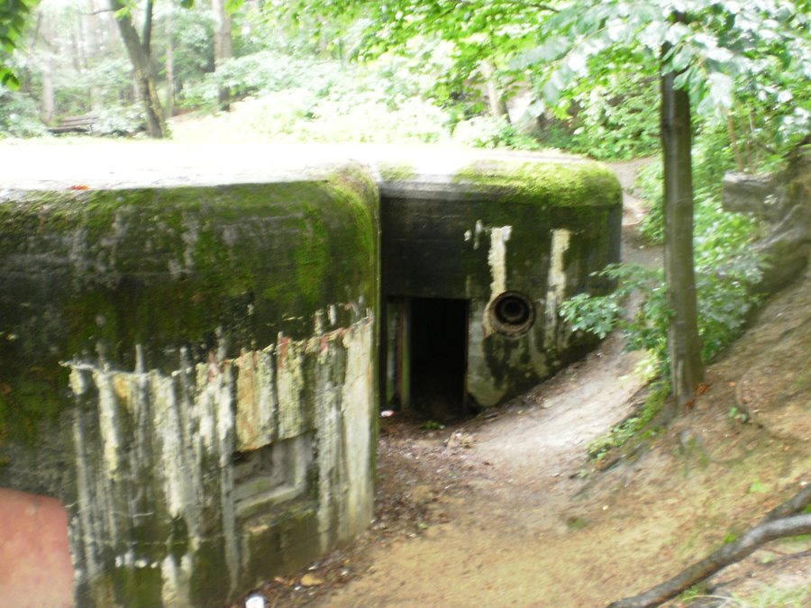 File:Fort Waligora - panoramio (1).jpg