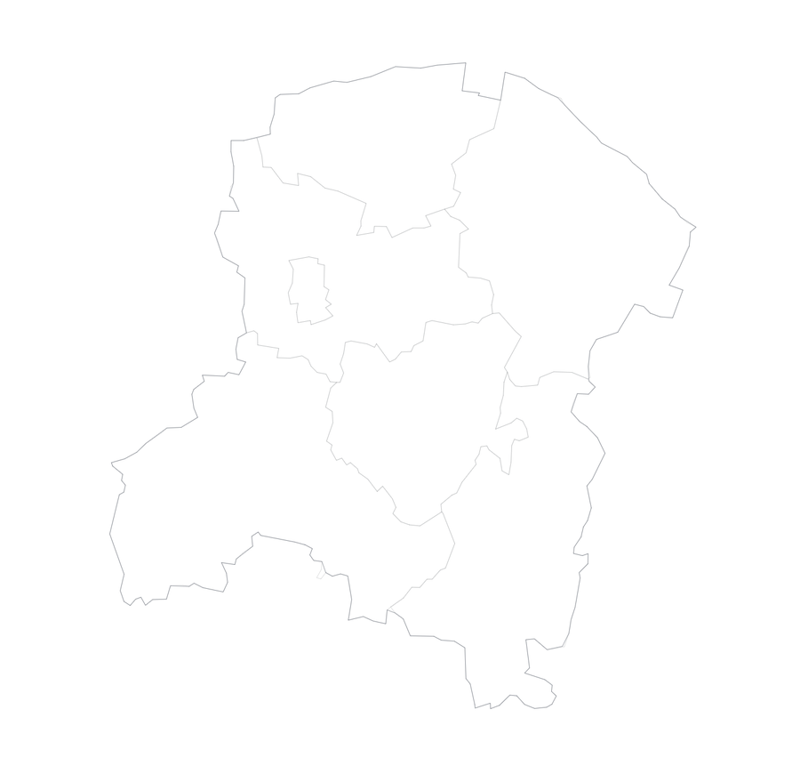 Map Radziejów County