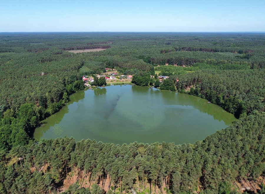 File:Jezioro Środkowe (Zatom Nowy) aerial 2025.jpg