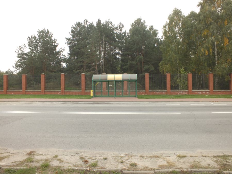 Jewish cemetery in Kozienice