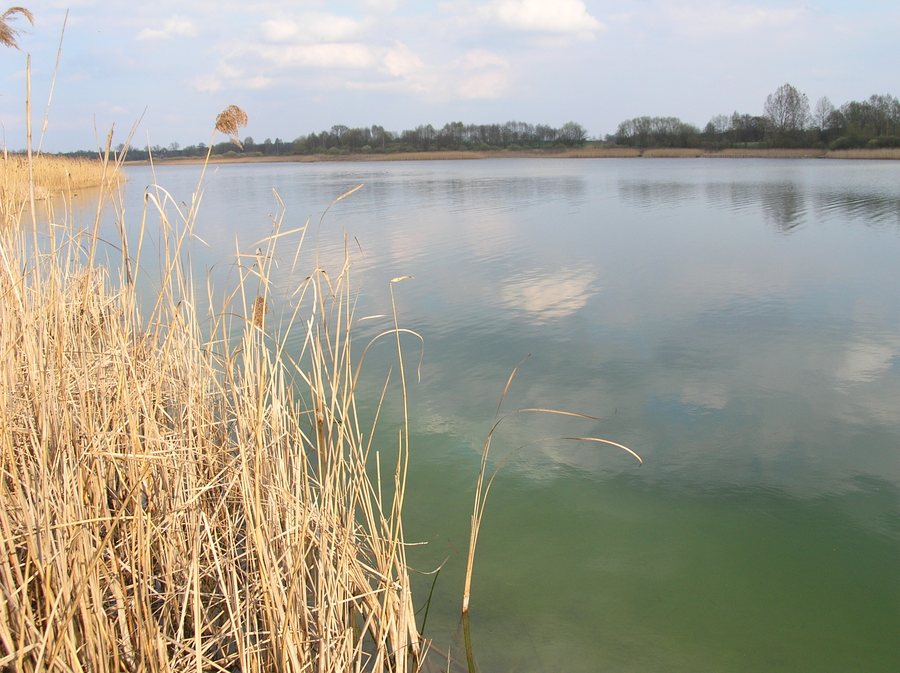 File:Jezioro Wilczyńskie k. wsi Świętne.jpg