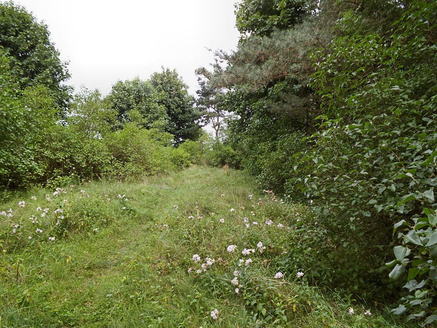 File:Laskowo 855-56.jpg