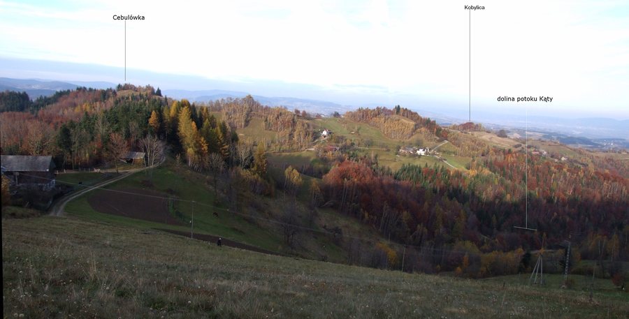 File:Cebulówka BS 7.jpg