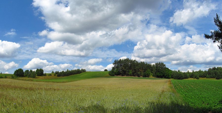 Panorama pól za kościołem w Hucie Kalnej