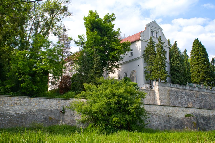 File:Zamek w Rogowie Opolskim.jpg