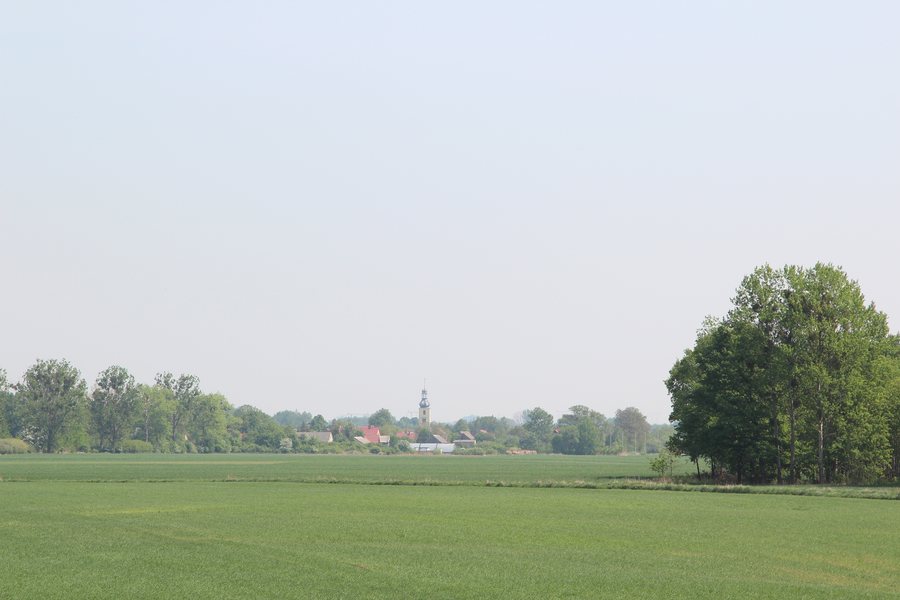 File:Kotowice 2019 P01.jpg