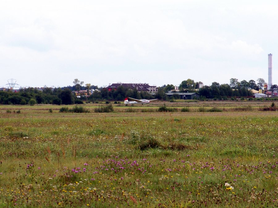 File:Wielogóra 1.JPG
