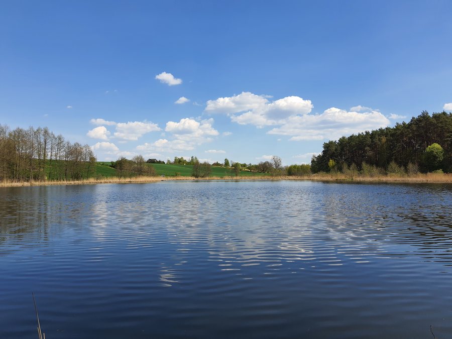 File:Biskupice Lewe staw Polska 2022.jpg