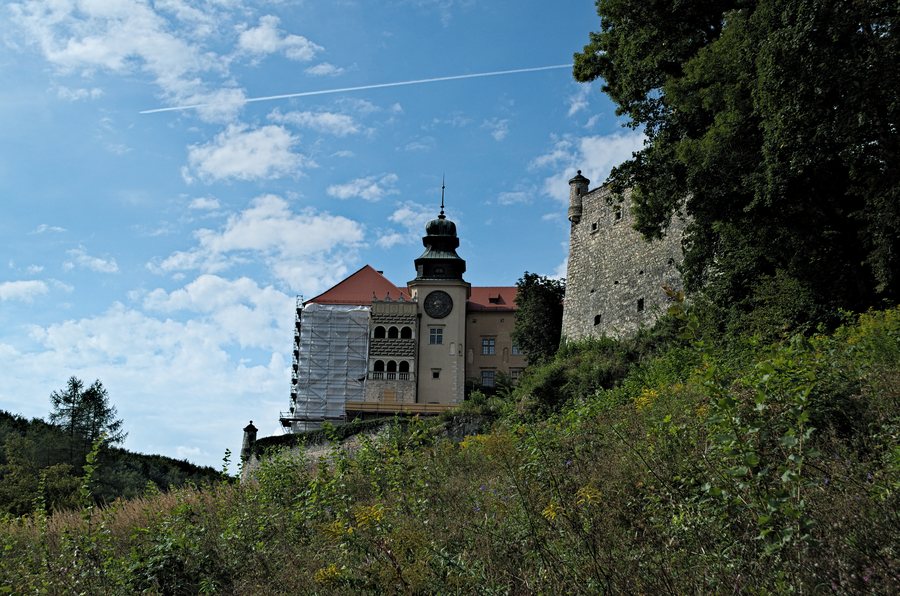 Sułoszowa, Pieskowa Skała