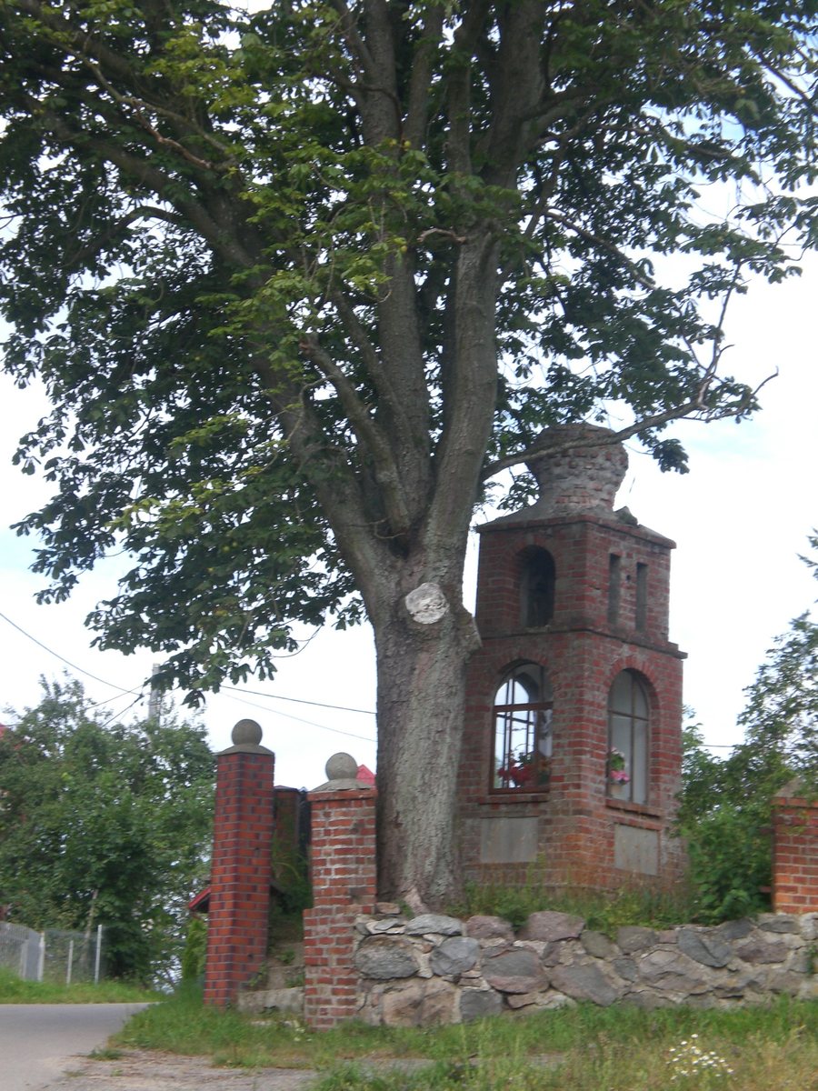 File:Pierszczewo 81.jpg