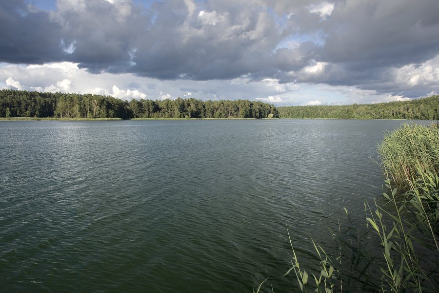 Jezioro Zbiczno pojezierze Brodnickie