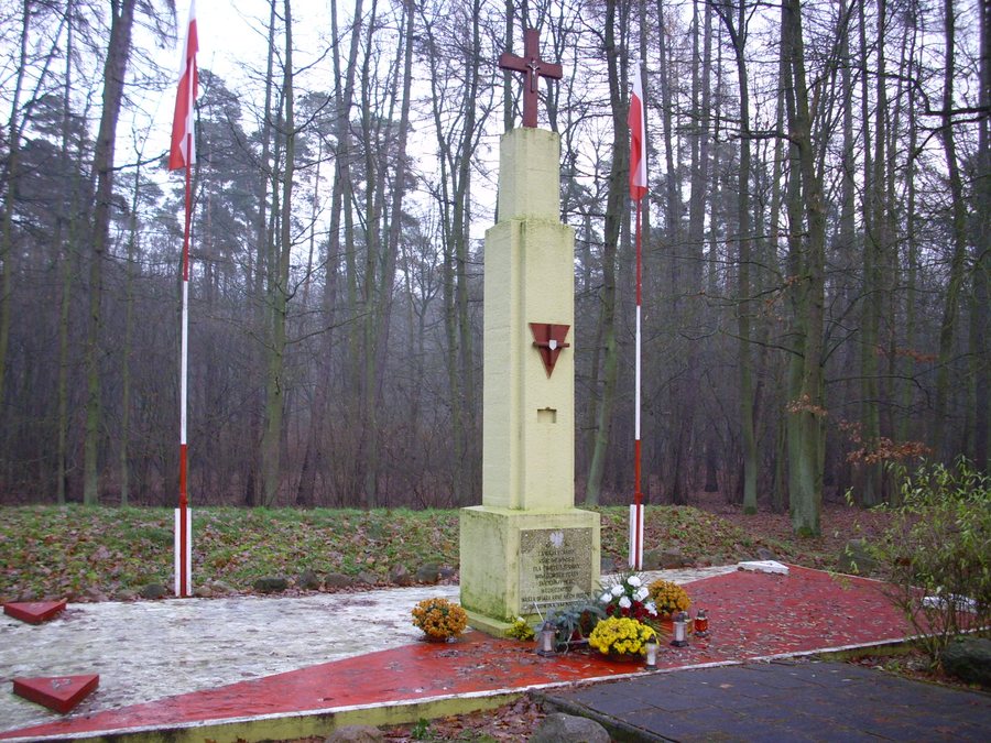 File:Grzebienisko-08112906.jpg