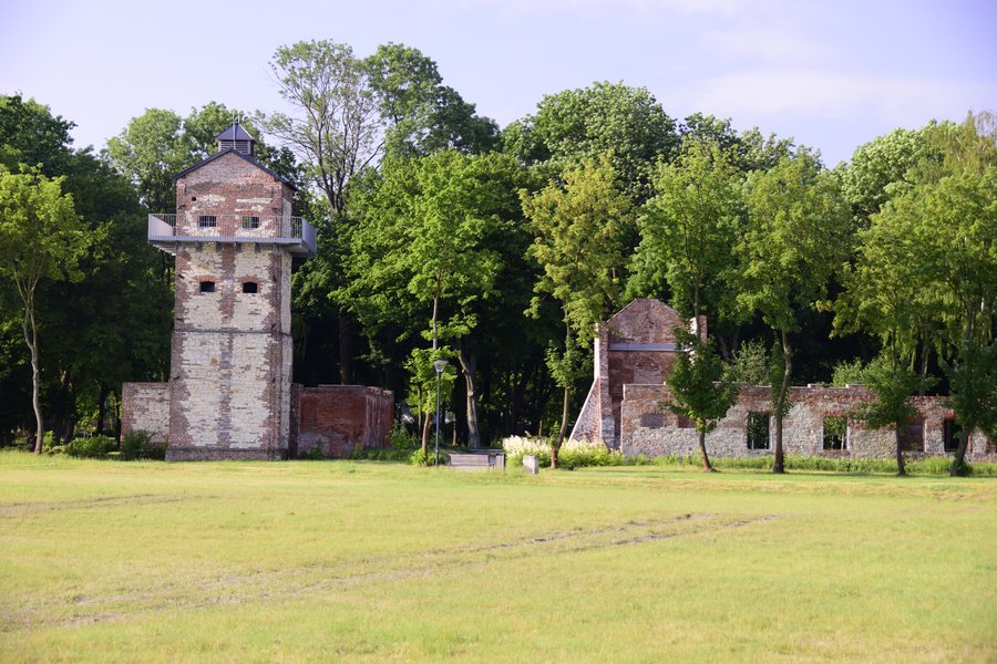 Ruiny Łęczna 1