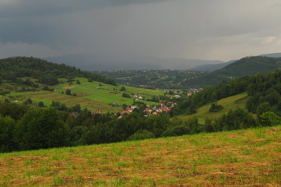 File:Swinna 2020.jpg