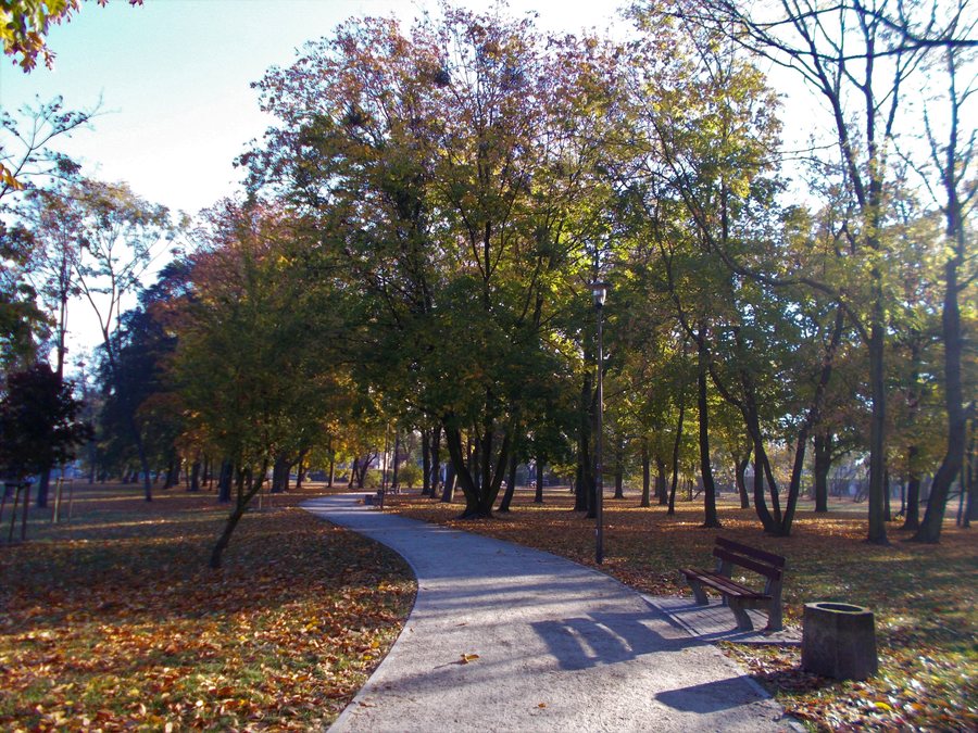 Ostrów Wielkopolski, Park Miejski 2018 (1)