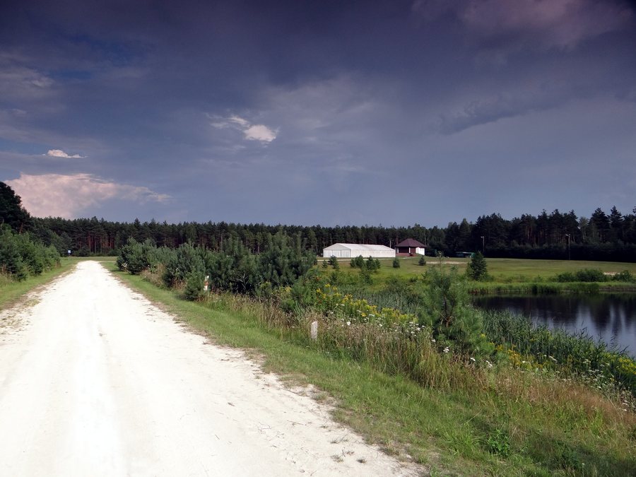 File:Aleksandrów - amfiteatr (2).jpg