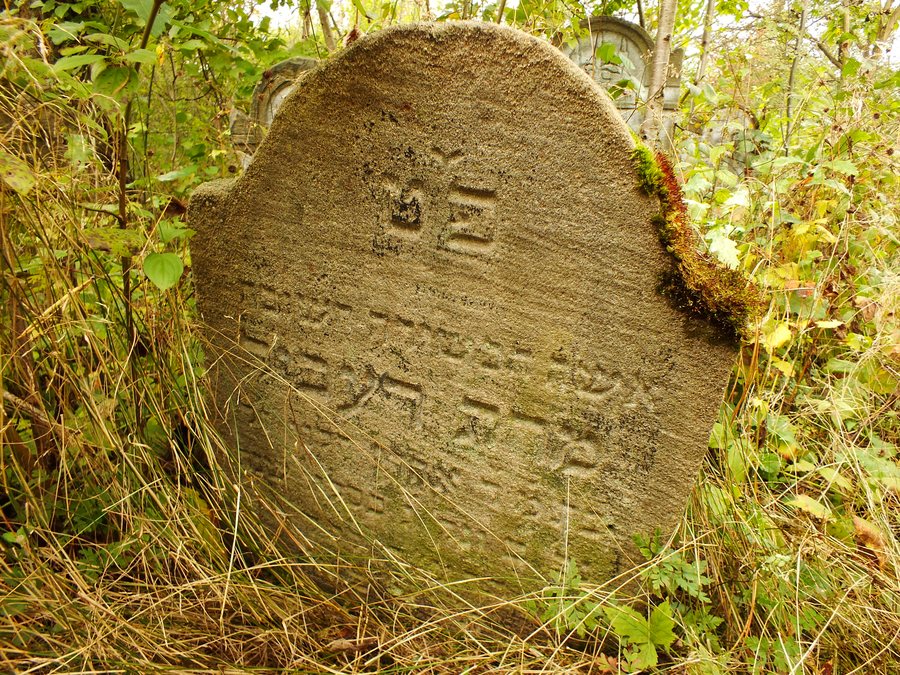 File:Jewish cemetery in Malogoszcz Maligoshtch cmentarz żydowski 2 poł XIX w Małogoszcz 13.JPG