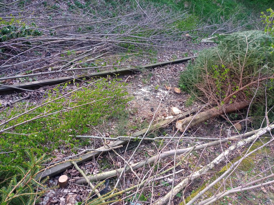 Wycinka zakrzaczeń na torach kolejowych przy stacji Lądek Stójków