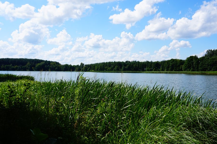 File:Jezioro Sudomie, wieś Sycowa Huta, pow. kościerski - panoramio.jpg