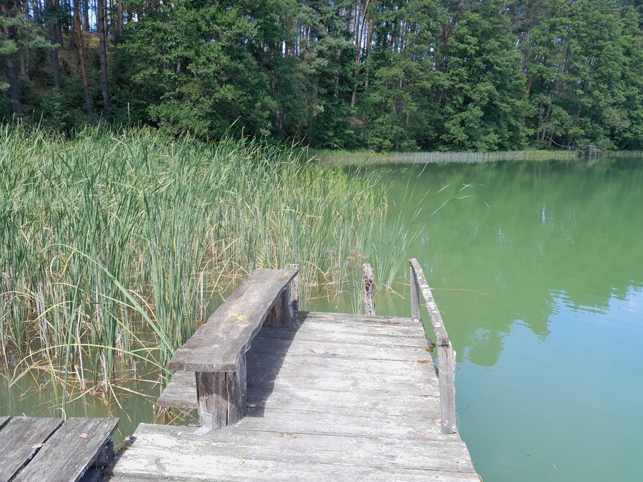 File:Mirosłwiec nature surroundings ponds 7.jpg