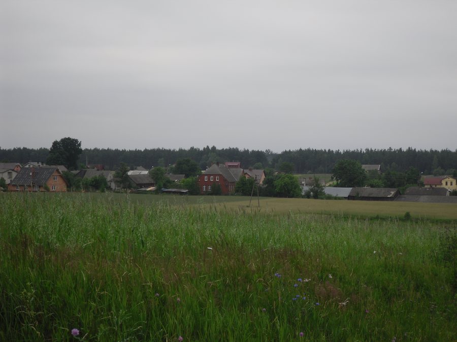 File:Przytarnia1.JPG