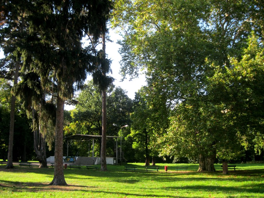 File:Park w Żarowie 02aw.jpg