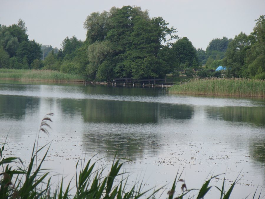 File:J.Zawadzkie - panoramio.jpg