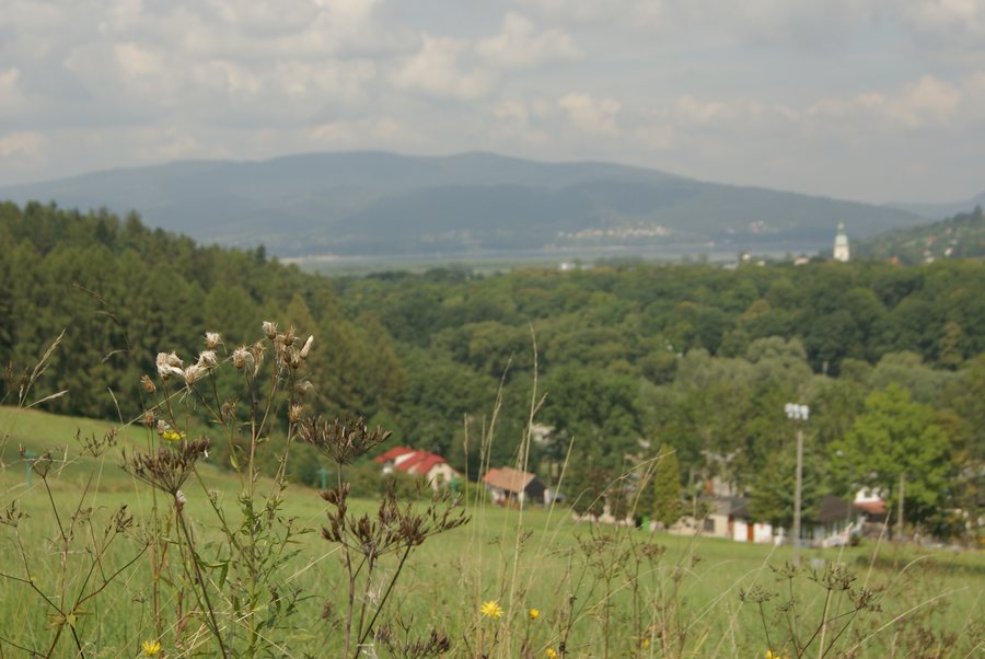 File:Żywiec - widok z Grojca.JPG