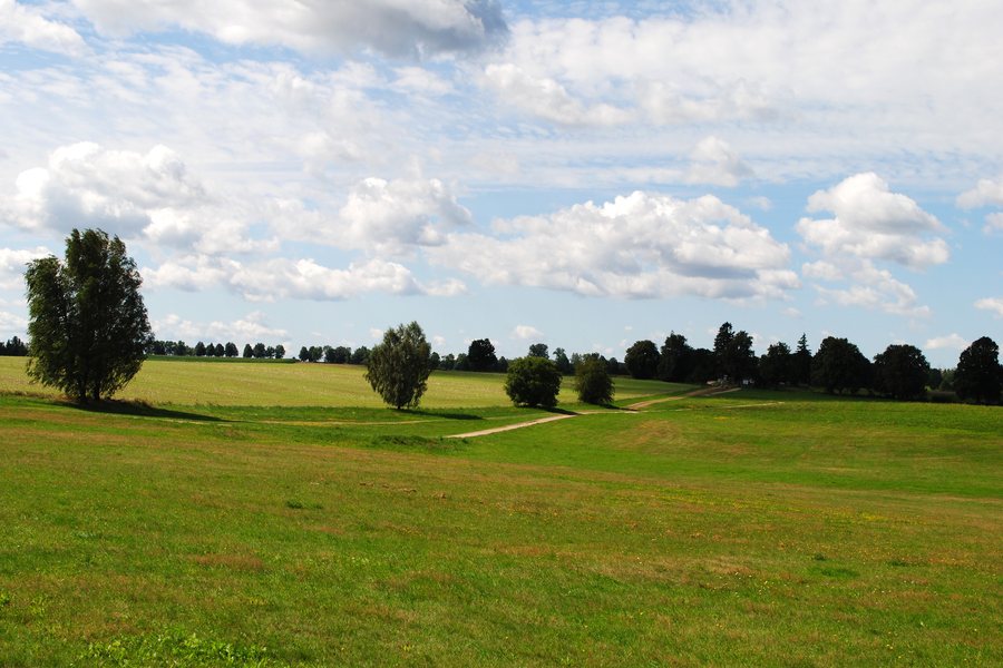 Grunwald - Pole Bitwy