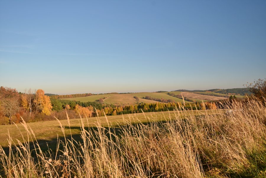 File:Arłamów, Połoninki Arłamowskie (HB3).jpg