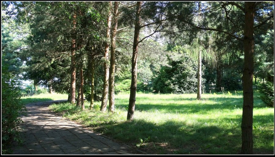 File:H.16.0773 - Wieleń, dwór 06.jpg