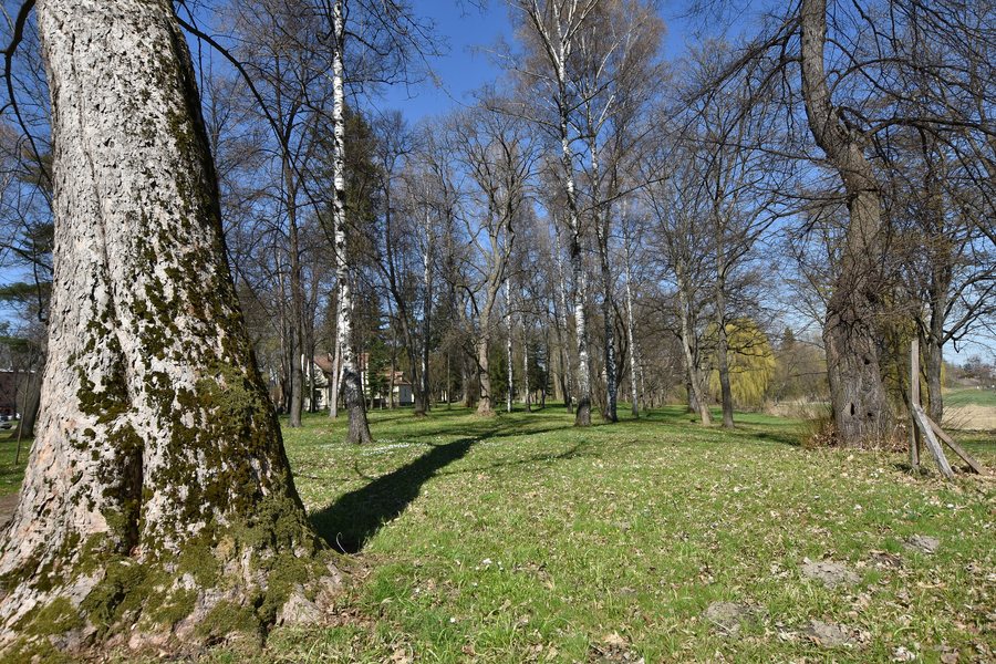 File:Wojnicz, park dworski (HB5).jpg
