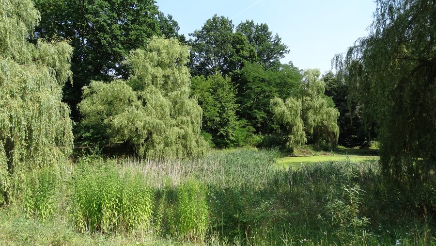 File:Park, poł. XIX, pocz. XX Karolewo (11).JPG