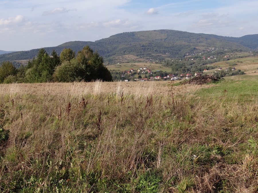 File:Łękawica BŻ7.jpg
