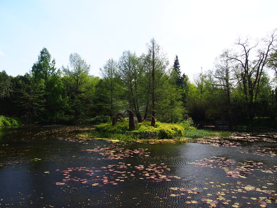 File:Arboretum Bolestraszyce k. Przemyśla.jpg