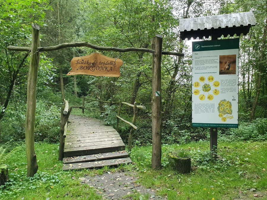 File:2023 Hażlach path to Borgońka.jpg