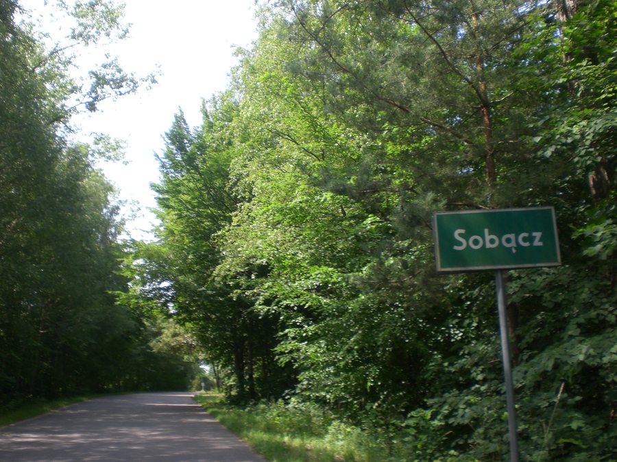File:Sobącz 8856.jpg