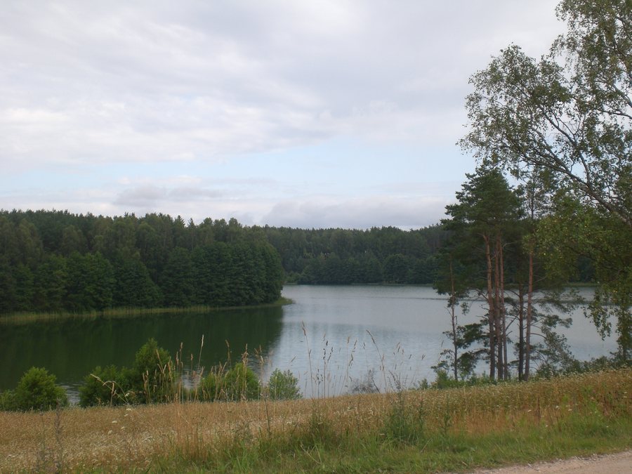 File:Niesiołowice, jezioro Długie (2).jpg