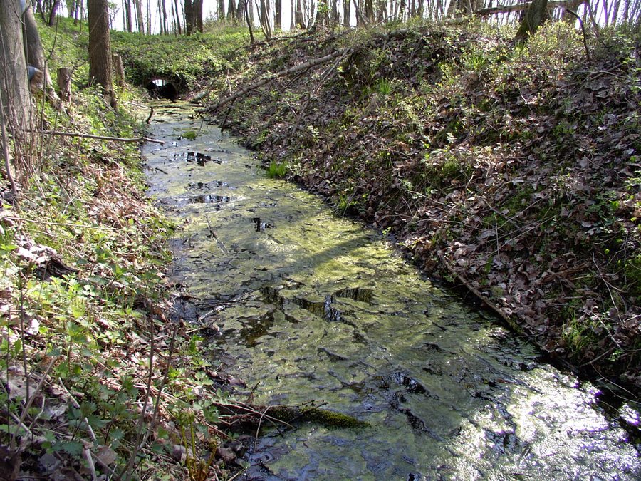 File:Na Jarotach (3).JPG