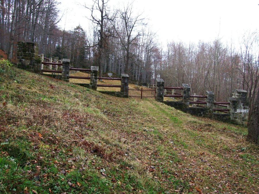 File:Cmentarz wojenny nr 300 Kobyła Rajbrot - 1.jpg